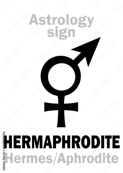 hermaphrodite hermes aphrodite|Hermaphrodite .